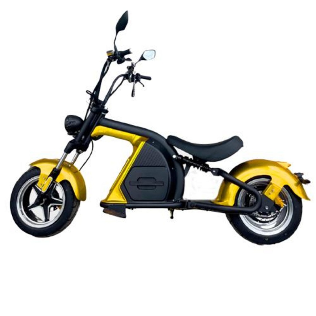 ELPRA CITY CHOPER